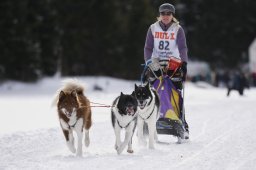 Lenzerheide 2013